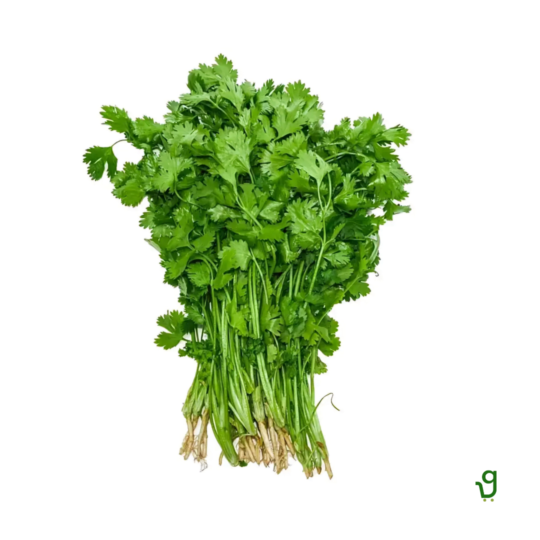 Coriander With Roots