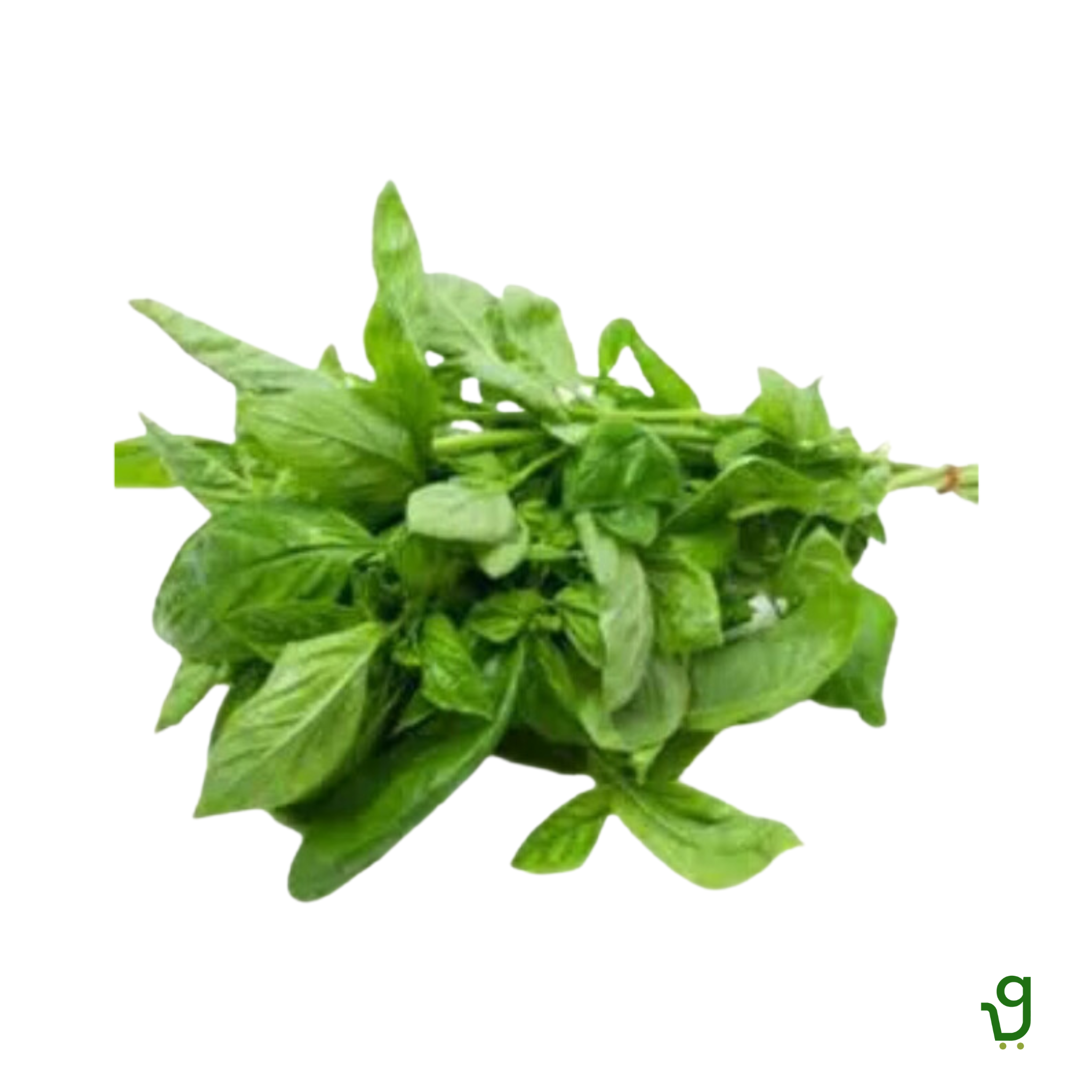 Basil (100g)