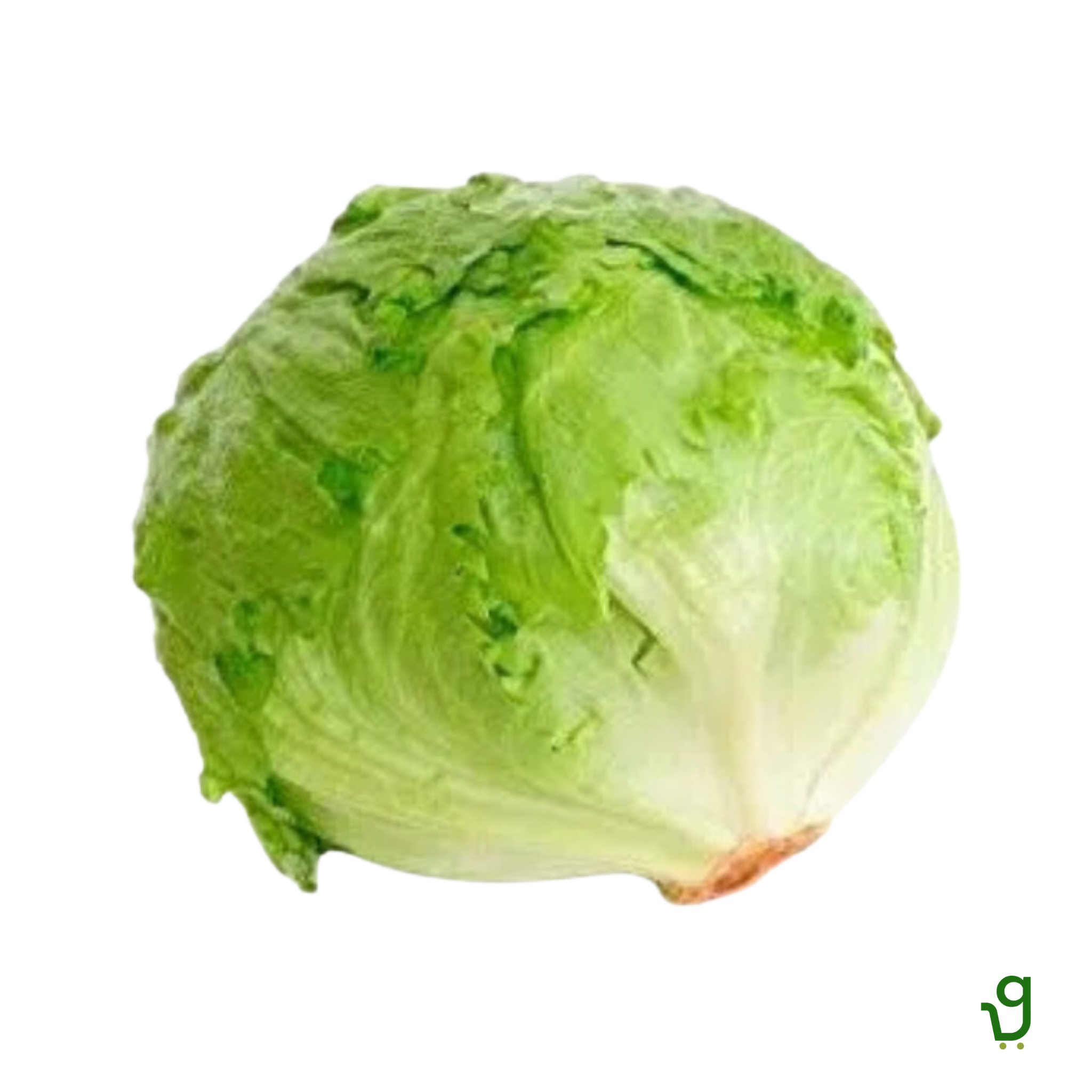 Iceberg Lettuce (250g-300g)