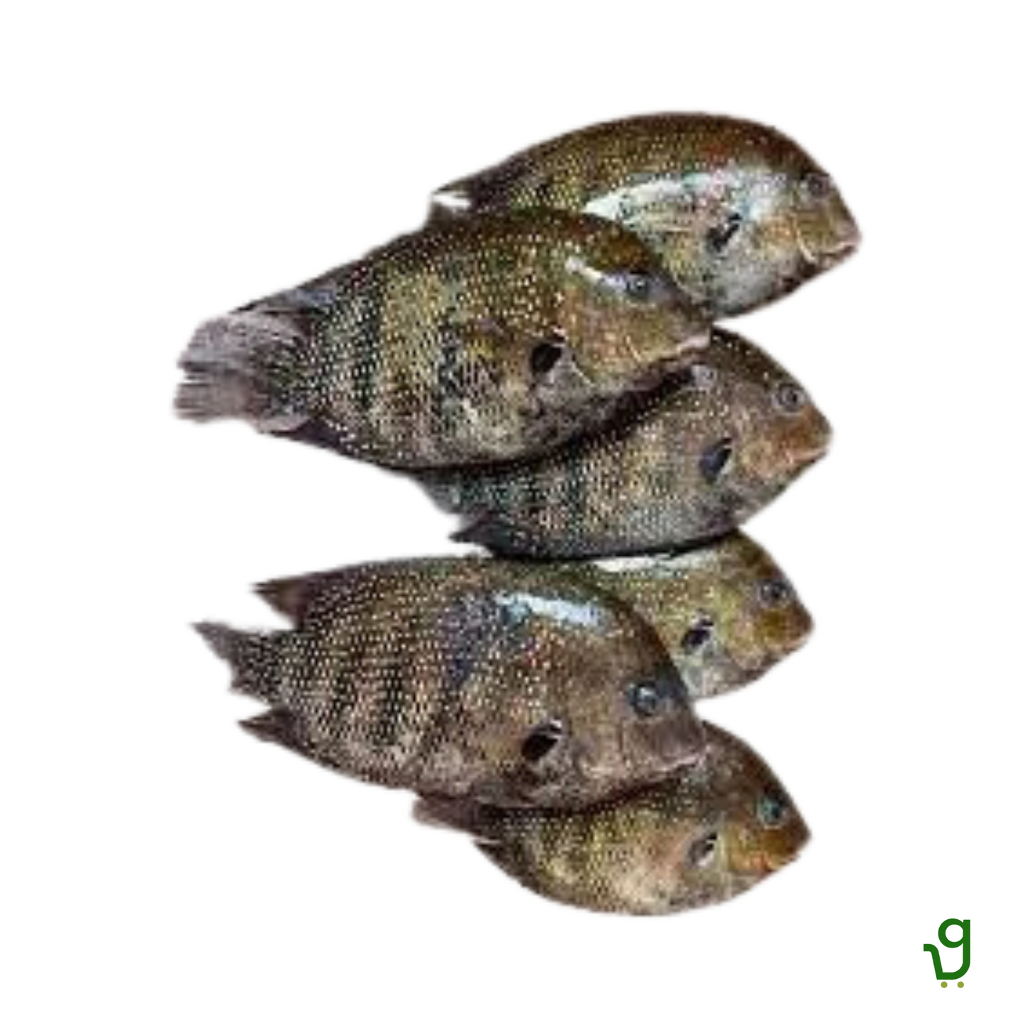Kalundar Fish (1 Kg)