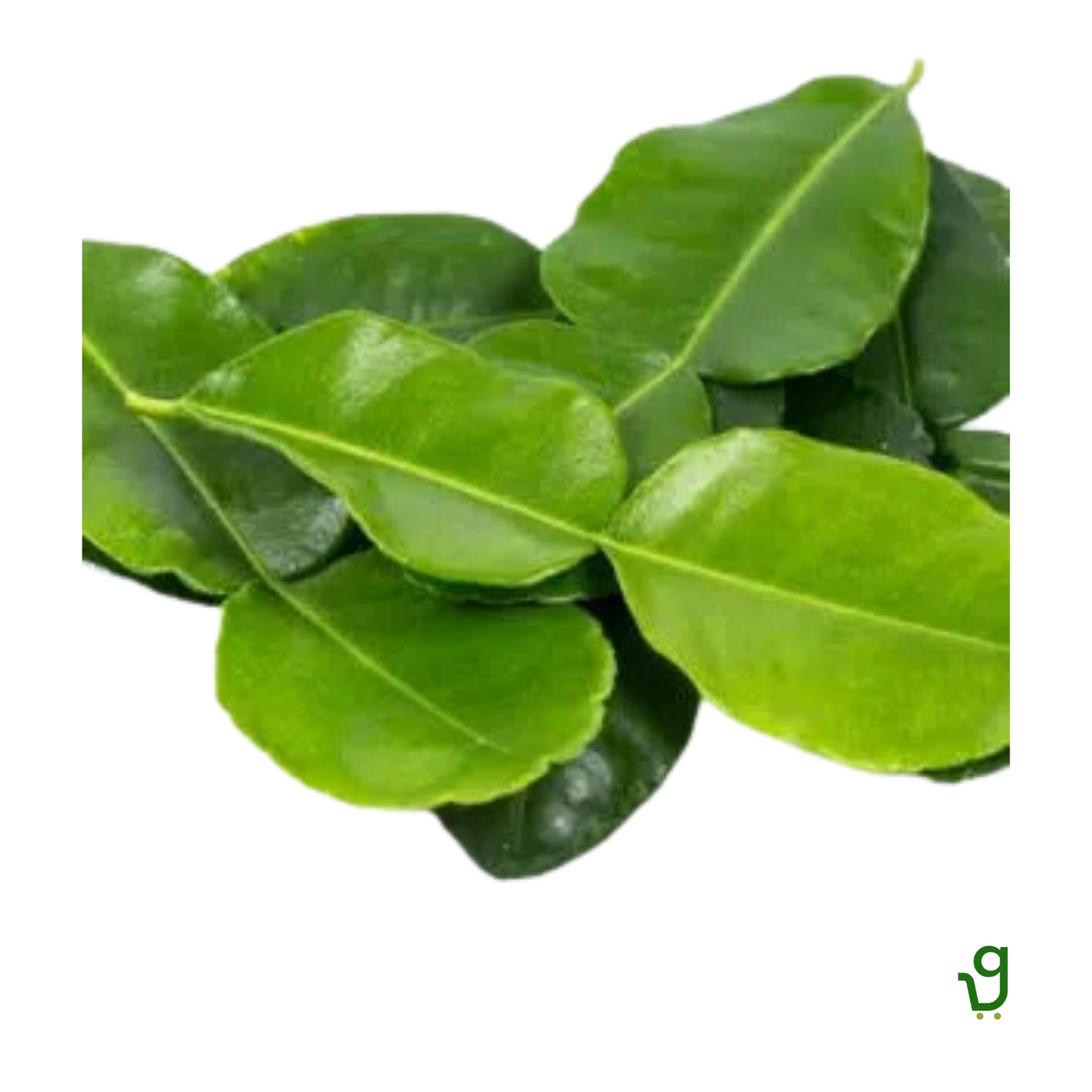 Lemon Leaf (250g)