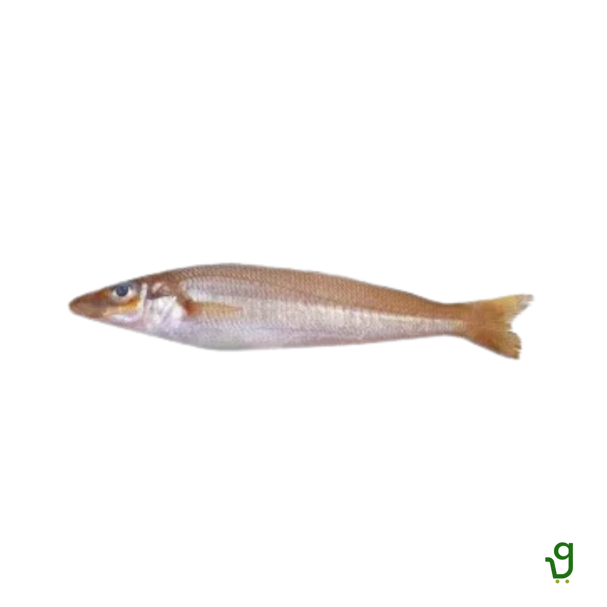 Muddoshi Fish (500g)