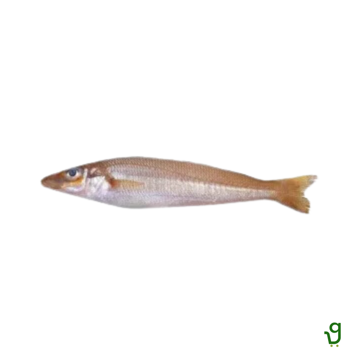 Muddoshi Fish - Big (500g)