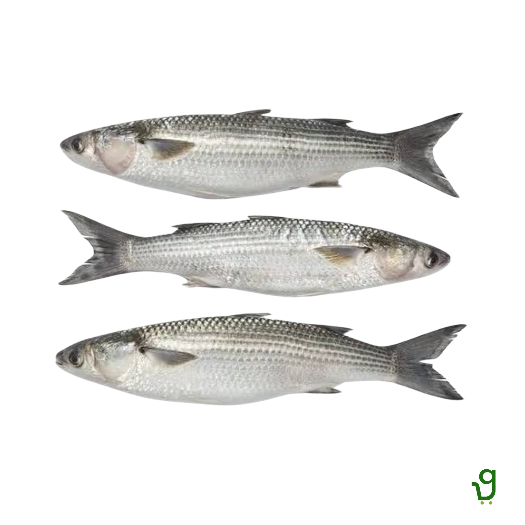 Shevto/Mullet Fish (500g)