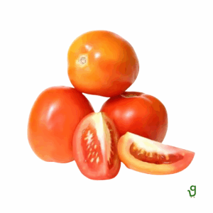 Tomato