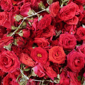 100 Red Roses Arranged in A Cane Basket