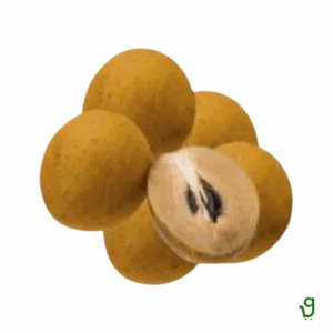 Chikoo