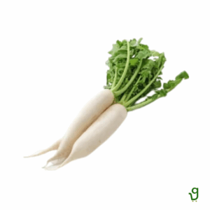 White Raddish - Mulo